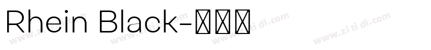 Rhein Black字体转换